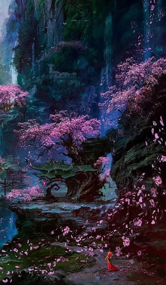 高级定制